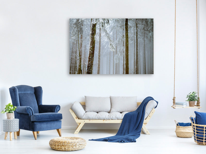 modern-3-piece-canvas-print-forest-in-winter