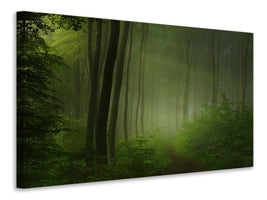 4-piece-canvas-print-forest-morning