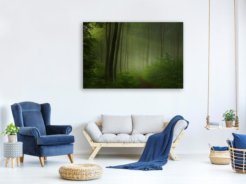 5-piece-canvas-print-forest-morning