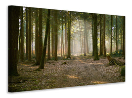 3-piece-canvas-print-forest-run