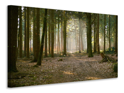 3-piece-canvas-print-forest-run