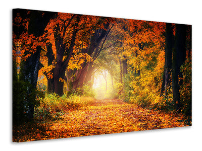 4-piece-canvas-print-forest-walk