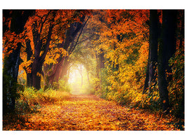 4-piece-canvas-print-forest-walk