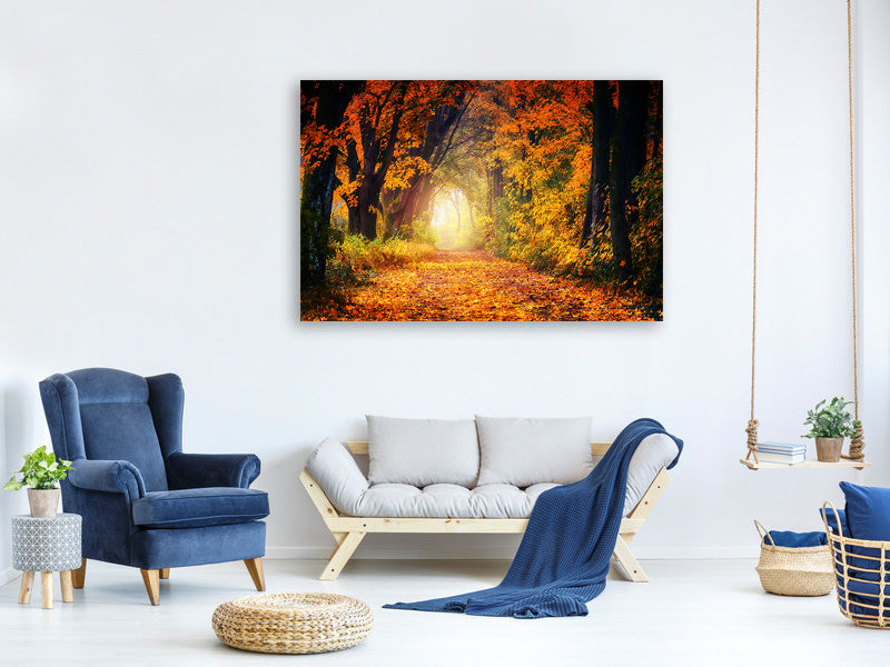 modern-3-piece-canvas-print-forest-walk