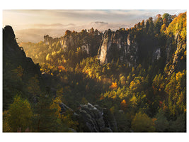 modern-3-piece-canvas-print-forest-whispers