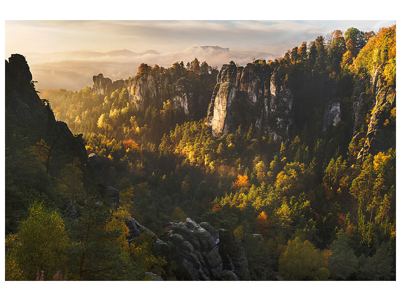 modern-4-piece-canvas-print-forest-whispers