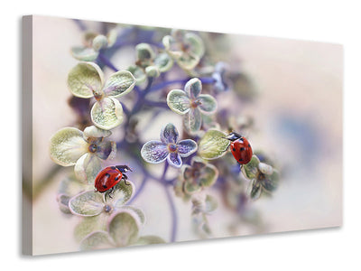4-piece-canvas-print-fragile