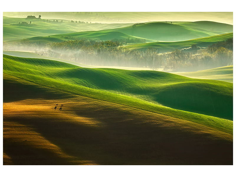 modern-4-piece-canvas-print-freedom-ii