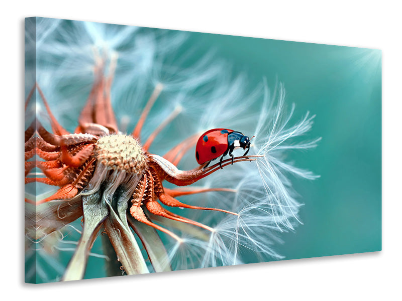 panoramic-canvas-print-freedoom
