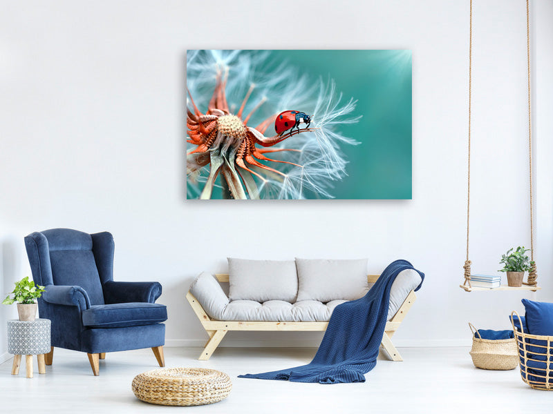 modern-4-piece-canvas-print-freedoom