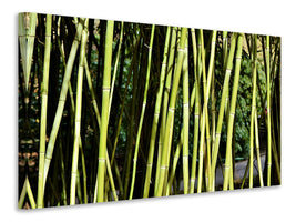 3-piece-canvas-print-fresh-bamboo