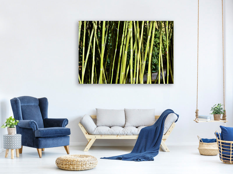 3-piece-canvas-print-fresh-bamboo