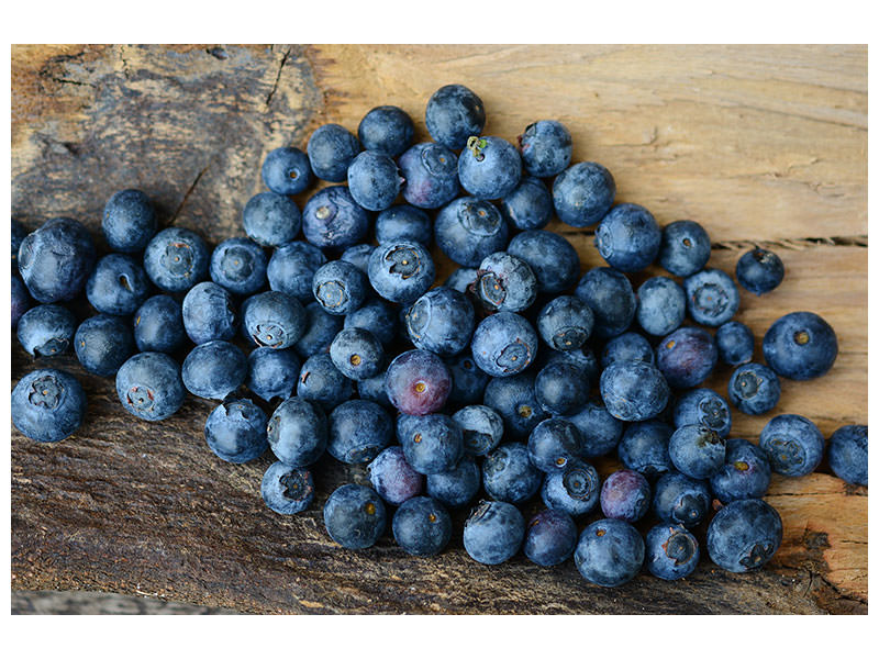 panoramic-canvas-print-fresh-blueberries