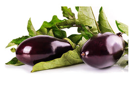 panoramic-canvas-print-fresh-eggplants