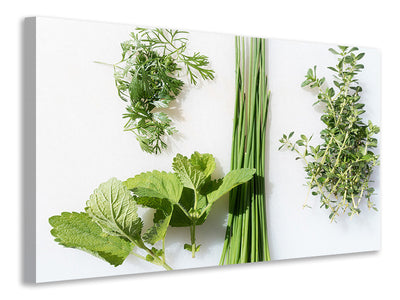 modern-3-piece-canvas-print-fresh-herbs