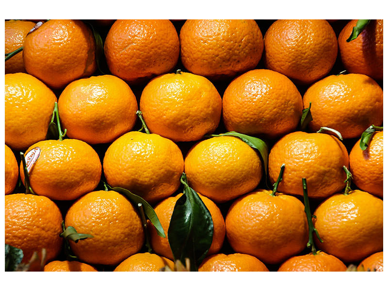 3-piece-canvas-print-fresh-oranges