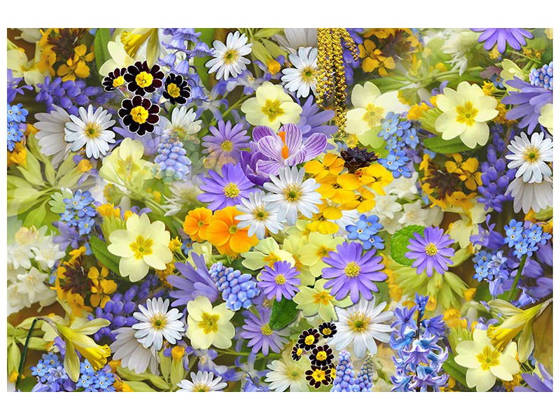 4-piece-canvas-print-fresh-spring-flowers