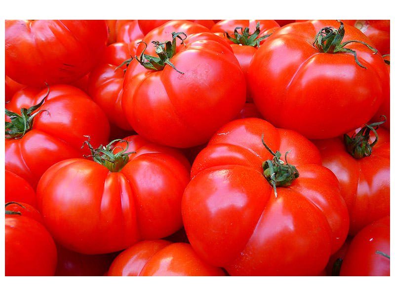 5-piece-canvas-print-fresh-tomatoes