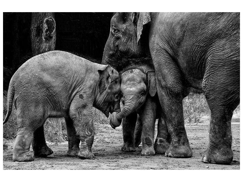 3-piece-canvas-print-friends-forever