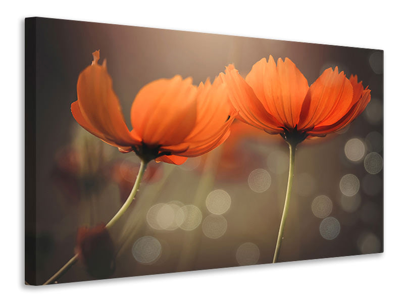 modern-4-piece-canvas-print-friends