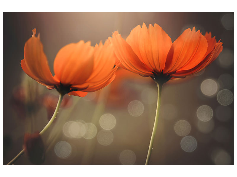 4-piece-canvas-print-friends