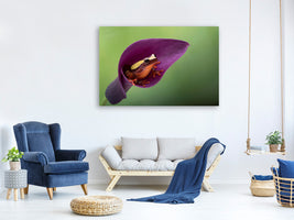 5-piece-canvas-print-frog-cubby-house