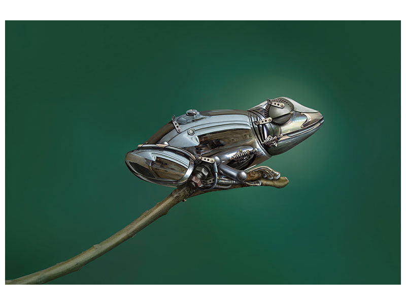 panoramic-3-piece-canvas-print-frog