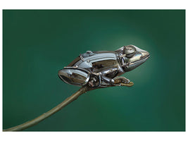 modern-3-piece-canvas-print-frog