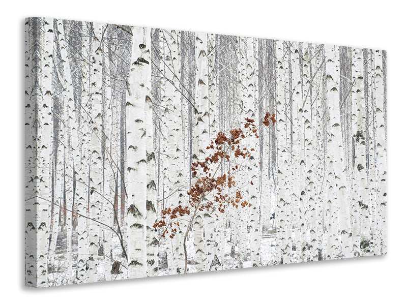 modern-4-piece-canvas-print-from-white