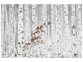 4-piece-canvas-print-from-white