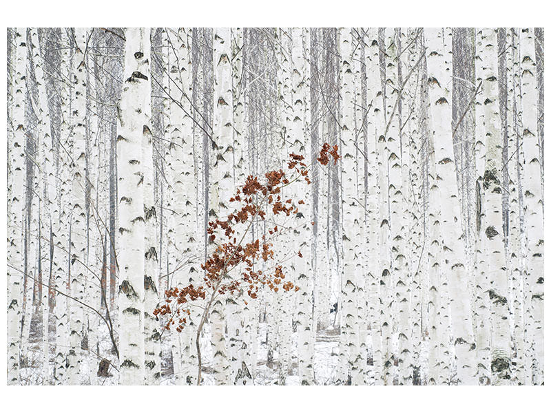 modern-3-piece-canvas-print-from-white