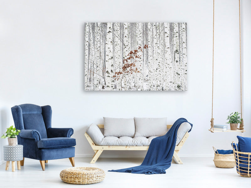 panoramic-3-piece-canvas-print-from-white