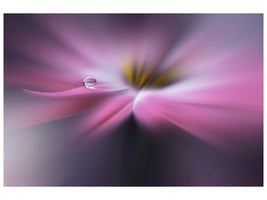5-piece-canvas-print-galaxy-a