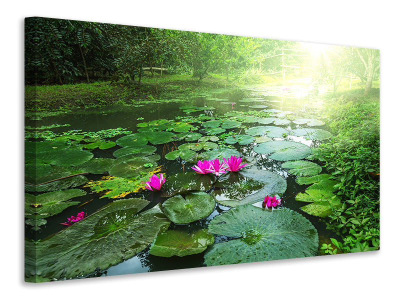 5-piece-canvas-print-garden-pond