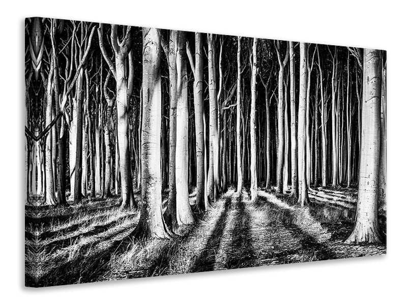 panoramic-3-piece-canvas-print-ghost-forest