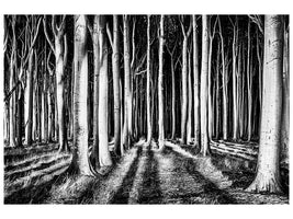 panoramic-3-piece-canvas-print-ghost-forest