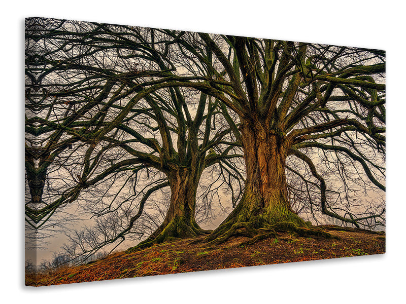 modern-3-piece-canvas-print-ghostly-trees