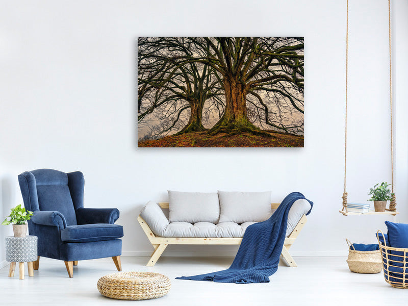 4-piece-canvas-print-ghostly-trees