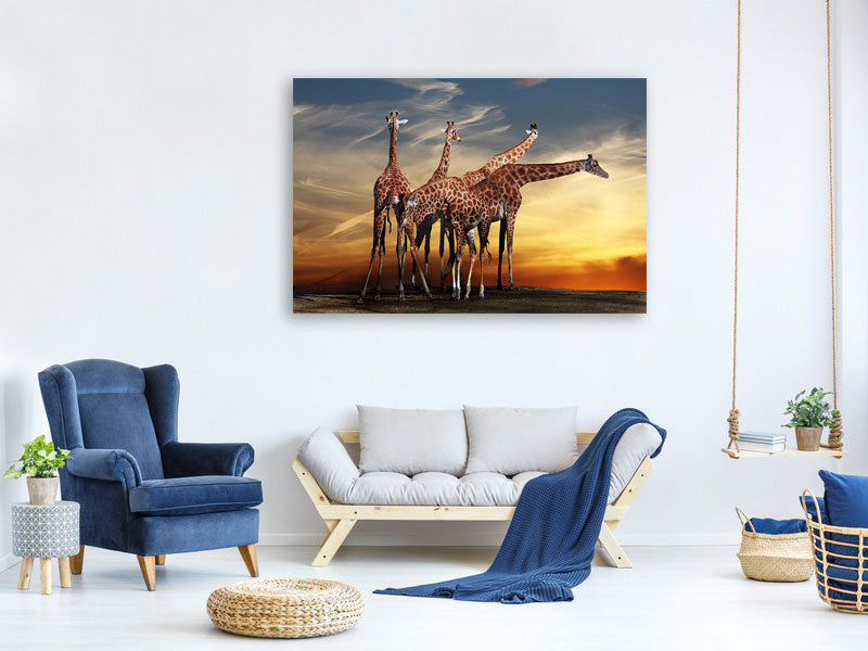 3-piece-canvas-print-girafe-at-sunset