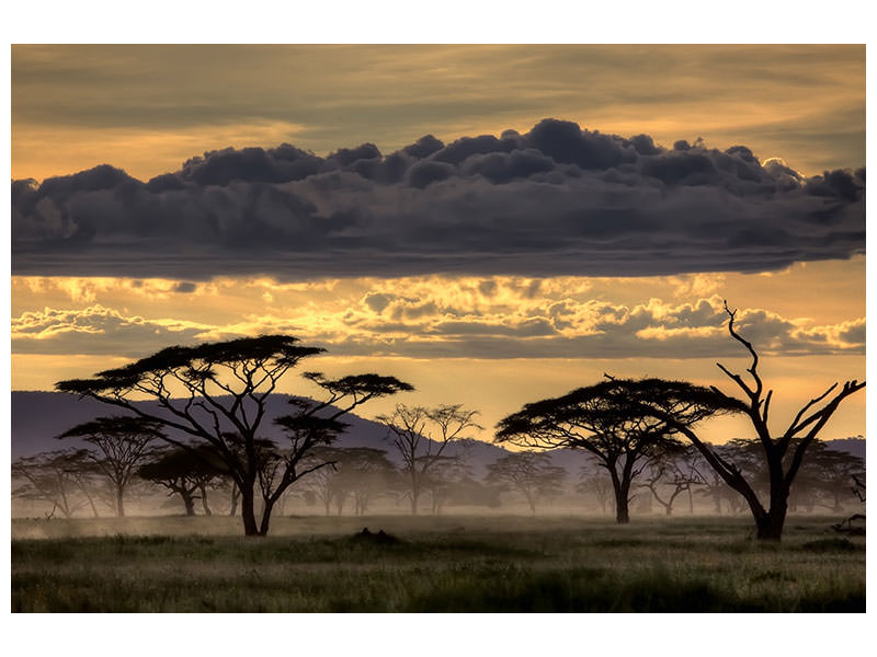 5-piece-canvas-print-good-evening-tanazania