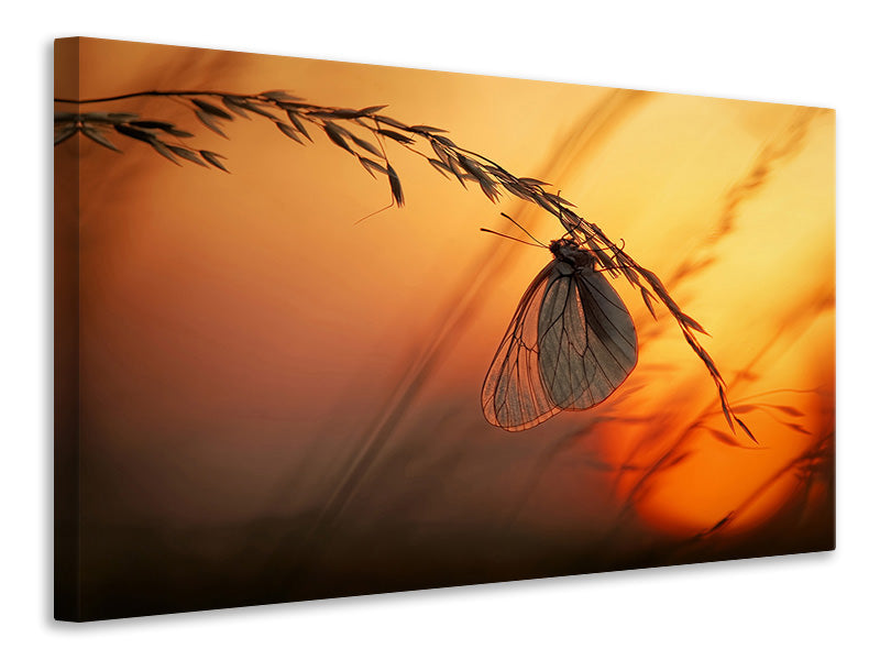 4-piece-canvas-print-good-night