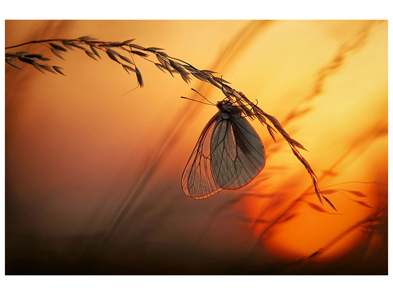 3-piece-canvas-print-good-night