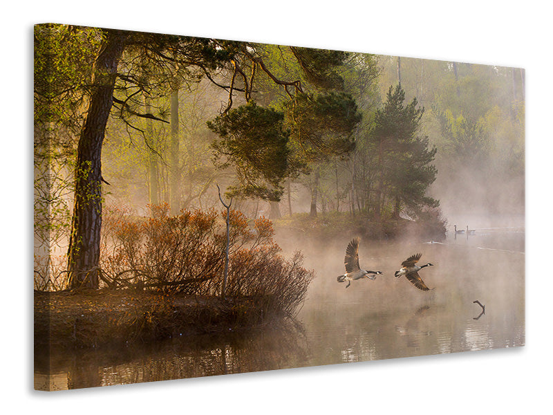 modern-3-piece-canvas-print-goose-fight
