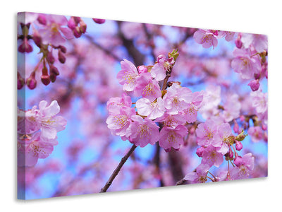 5-piece-canvas-print-gorgeous-cherry-blossom