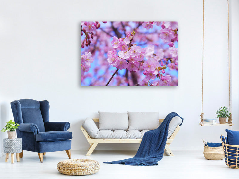 4-piece-canvas-print-gorgeous-cherry-blossom