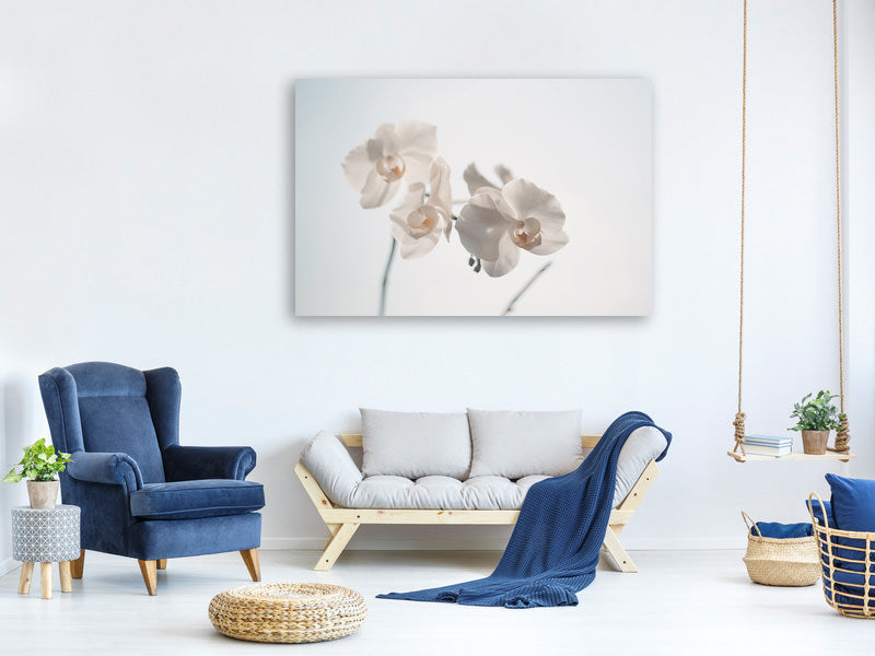 3-piece-canvas-print-graceful-orchids