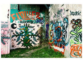 modern-4-piece-canvas-print-graffiti-in-the-backyard