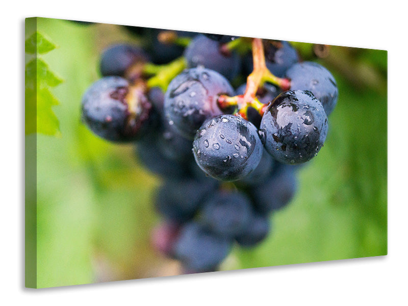 3-piece-canvas-print-grapes