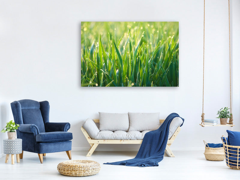 modern-4-piece-canvas-print-grass-with-morning-dew-xl