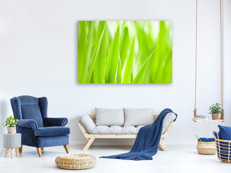 panoramic-3-piece-canvas-print-grass-xxl